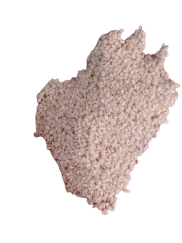White Sesame Seeds