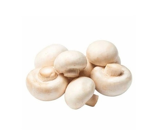 Button Mushroom