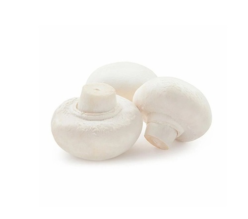 Fresh Button Mushroom
