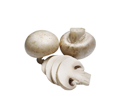 White Button Mushroom