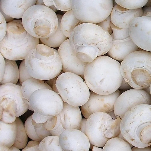 White Button Mushrooms