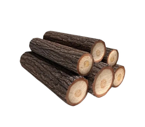 Neem Timber Logs