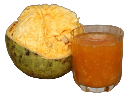 Frozen Bael Fruit Pulp
