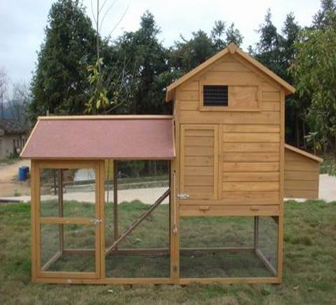 Long Lasting Galvanized Net Chicken House