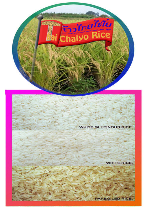 AUDIXSTAR Rice