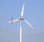 Wind Turbine Generator 300w