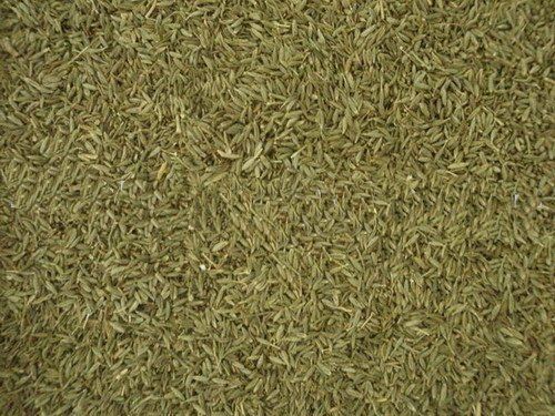 Cumin Seeds