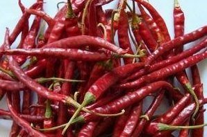 Red Chilli