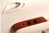 Leather Door Trims