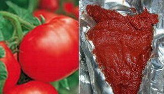 Natural Processed Tomato Paste