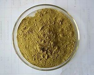 Green Tea Extract Powder