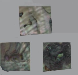 Best Price Green Abalone Blanks