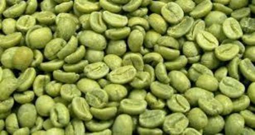 Green Coffee Bean Extract