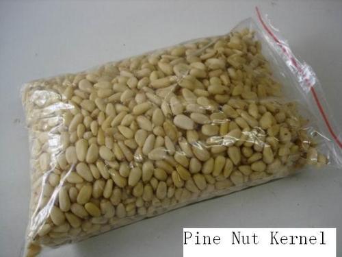 High Grade Pine Nut Kernel
