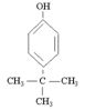 Para Tert Butyl Phenol (PTBP)
