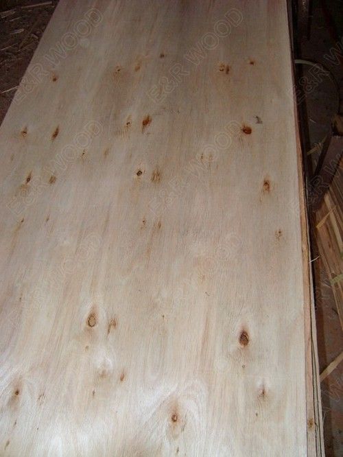 Rotary Cut Eucalyptus Veneer