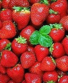 Red A Grade Strawberry Fruits