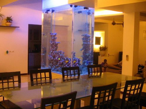 Slim Wall Mounted See Through Aquarium