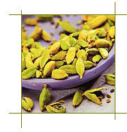 Fresh Dried Green Cardamom