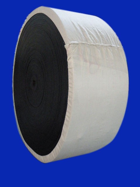 Nylon Conveyor Belt