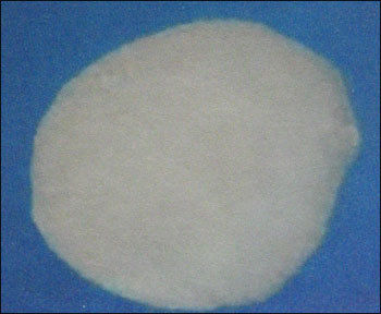 Suiphamic Acid Descalent (Inhibited)