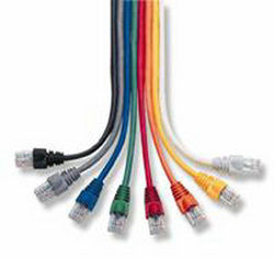 Patch Cord