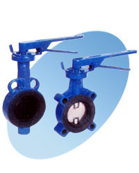 Ajay Butterfly Valves