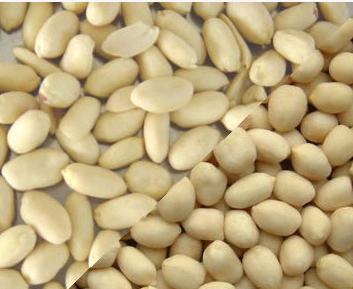 Blanched Peanut Kernels