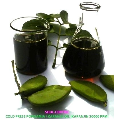 Pongamia Oil/ Karanja Oil