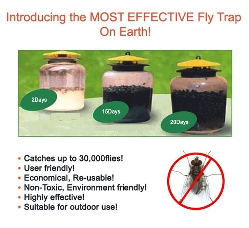 Fly Trap, Safe Fly Control System/Gilla