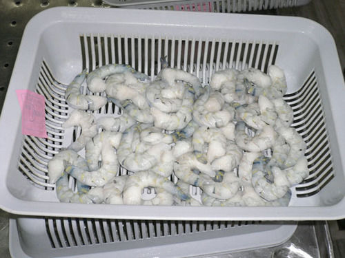 PND Shrimps