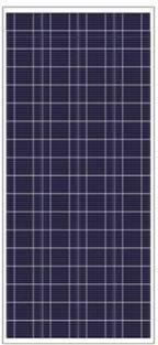 Polycrystalline (156-72 Series) Solar Module