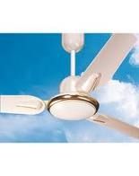 Ceiling Fans