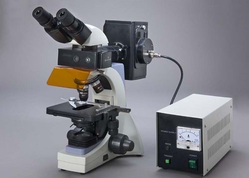 Gray Kamsons Fluorescent Microscope For Research Applications