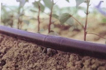 Drip Irrigation Pipe - 16mm Diameter, LDPE Material with UV Stabilization | 300mm Emitter Spacing, 2.0L/h Flow Rate, Ideal for Greenhouses and Nurseries