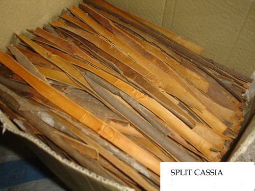 Split Cassia