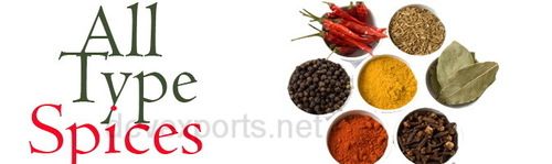 Indian Spices