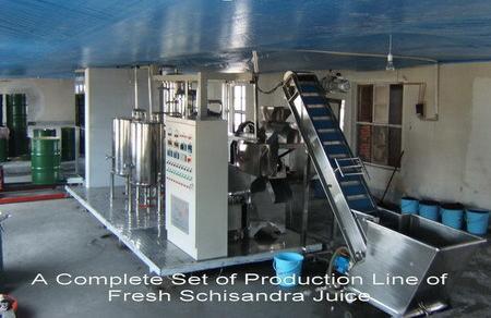 A Complete Set Of Production Line For Fresh Schisandra Juice