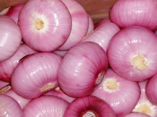 Fresh Red Onions - Premium Quality 4.0-7.5cm Sizes, Export-Grade Packaging in Mesh Bags