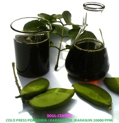 Pongamia / Karanja Oil (Cold Press)
