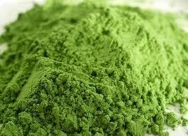 Nutritional Wheat Grass Powder