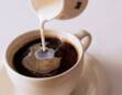 Coffee Creamer