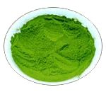 moringa powder