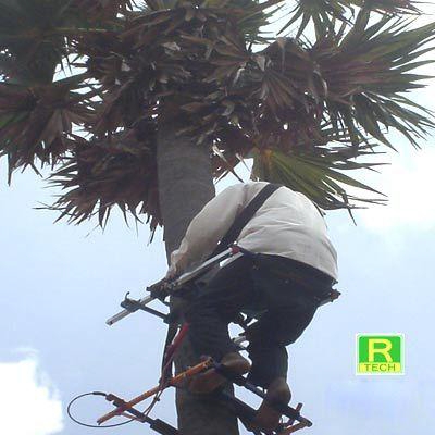 Coconut / Palm Tree Climbing Device at Best Price in Gandhinagar