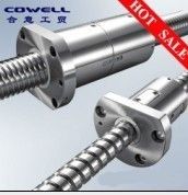 Precision Ball Screw Assembly