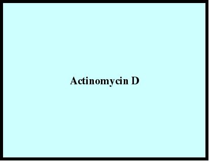 Actinomycin D