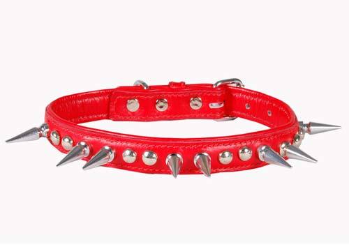 Dog Collar