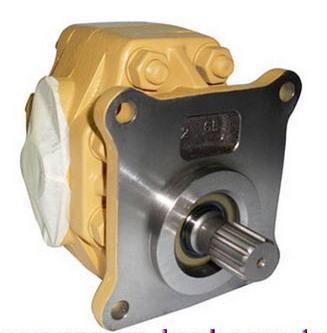 Gear Pumps