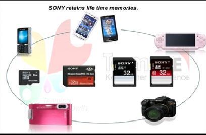 Memory Cards