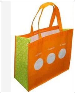 Shopping Bag